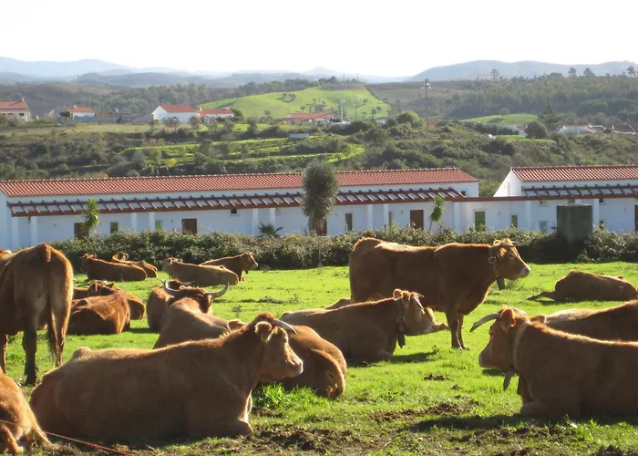 Quinta De Moledos